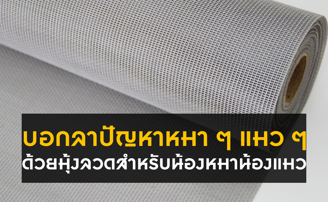 บอกลาปัญหาหมา ๆ แมว ๆ  ด้วยมุ้งลวดสำหรับน้องหมาน้องแมว