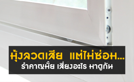 มุ้งลวดเสีย  แต่ไม่ซ่อม...รำคาญมั้ย เสี่ยงอะไร มาดูกัน