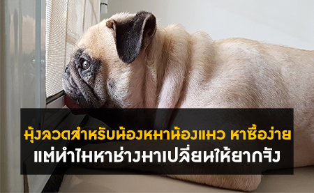 มุ้งลวดสำหรับน้องหมาน้องแมว หาซื้อง่าย แต่ทำไมหาช่างมาเปลี่ยนให้ยากจัง